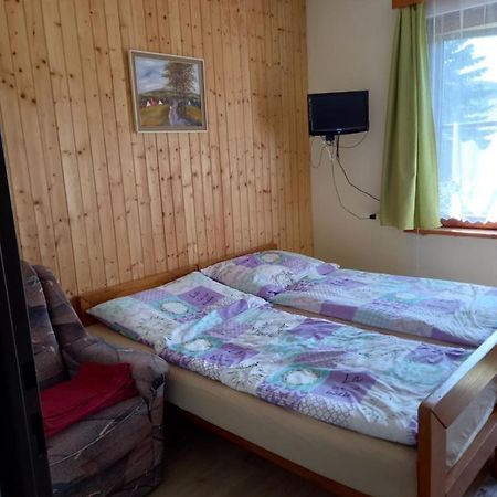 דשטנב אורליצקיץ הוראך Apartman Na Polesi מראה חיצוני תמונה